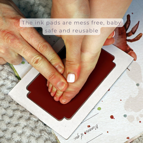 Little Paws, Big Memories Starter Kit : ABC Animals