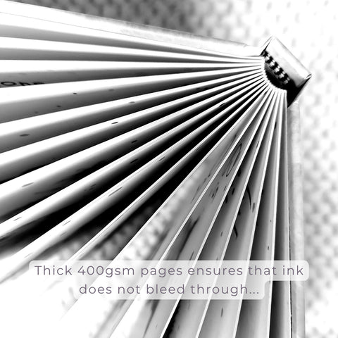 Little Paws, Big Memories Starter Kit : ABC Animals