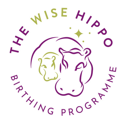 Wise Hippo Birthing Program
