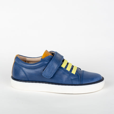 Petasil Ryan 3 Blue Lapiz / Yellow Denver