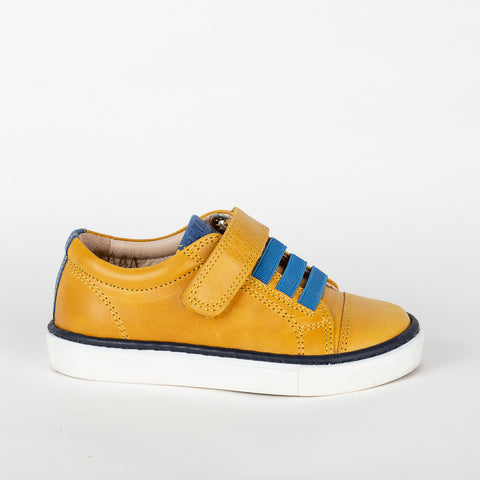 Petasil Ryan 3 Mustard / Lapiz Denver