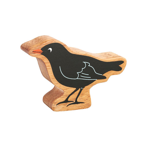 Natural Black Blackbird