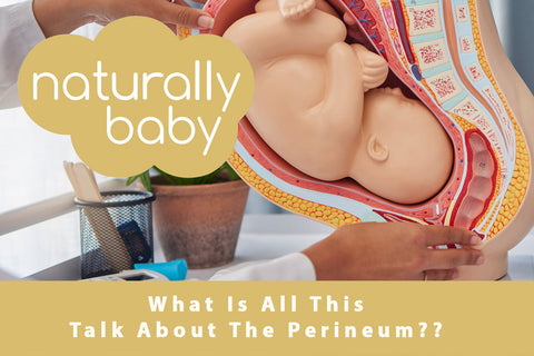 What is all this talk about the perineum??
