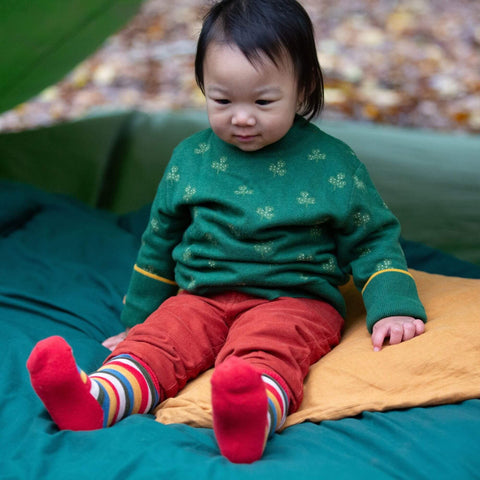 Little Green Radicals Rainbow Terry Boot Socks 2 Pack