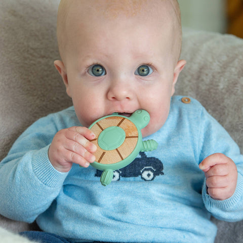 SiliSoft® Turtle Teether