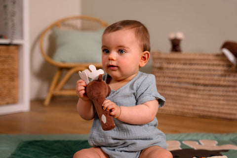 Little Big Friends Bruce The Moose Squeaker
