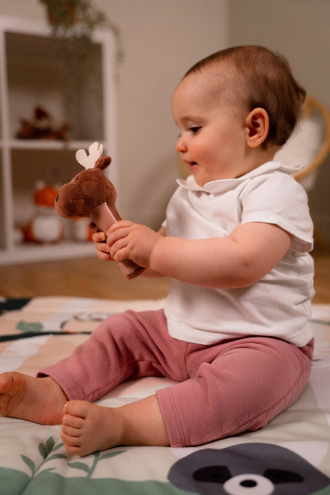 Little Big Friends Bruce The Moose Squeaker