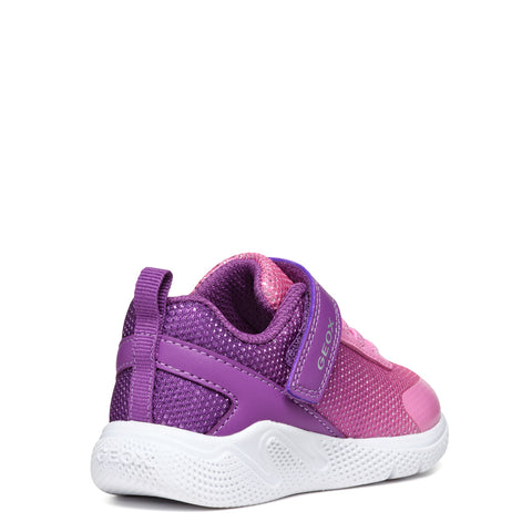 Geox B SPRINTYE G. A - SHI.TEX+GBK Purple/Dk Pink