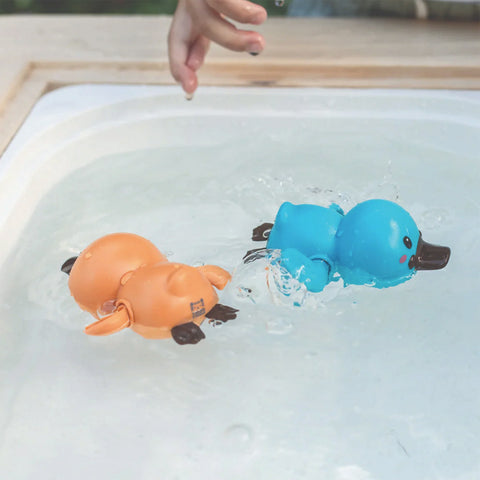 Tiger Tribe Bath Racers Platypuses