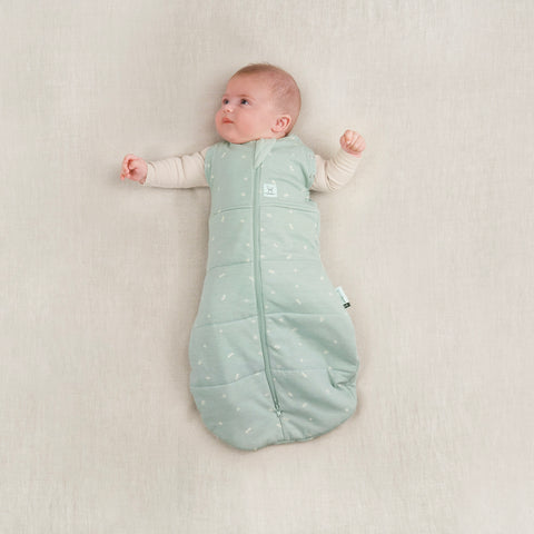 ergoPouch - Organic Cocoon Swaddle Bag 2.5 TOG