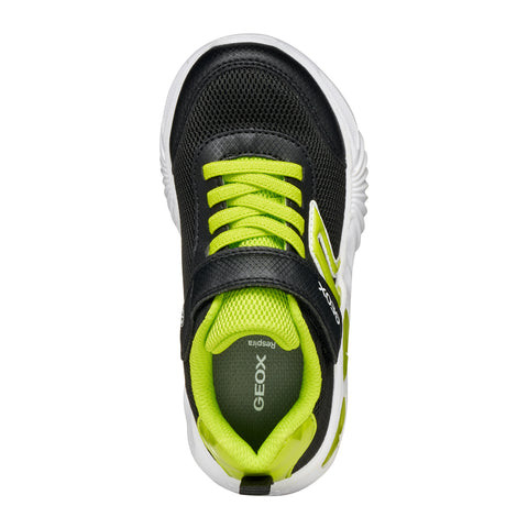 Geox J ASSISTER B. C - MESH+PRI.DBK