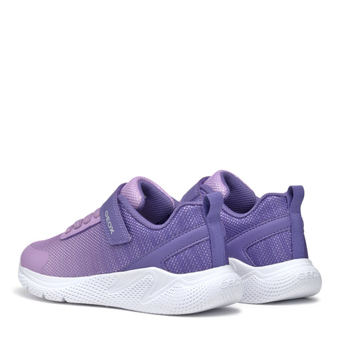 GEOX J Sprintye G.B - MESH+GEOBUCK Dk Violet / Lilac