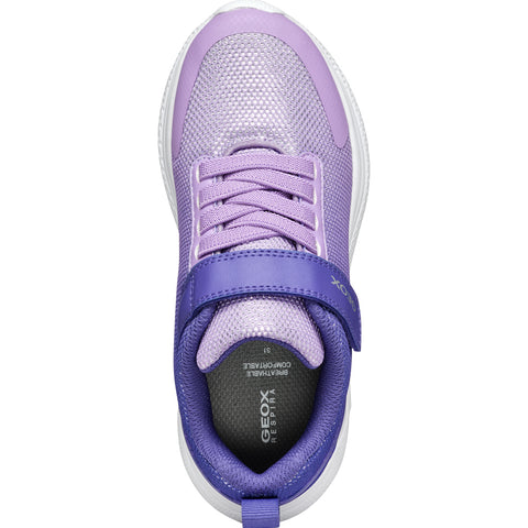 GEOX J Sprintye G.B - MESH+GEOBUCK Dk Violet / Lilac