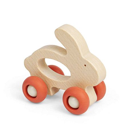 Mini Animal Push Alongs
