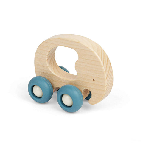 Mini Animal Push Alongs