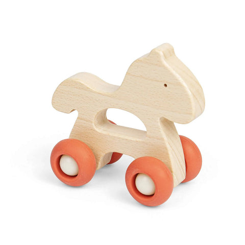 Mini Animal Push Alongs