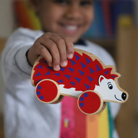 Hedgehog Push Along Lanka Kade