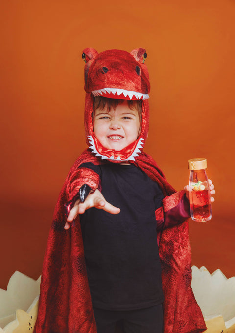 Petit Boum Sensory Toy Bottle Move (T-Rex)