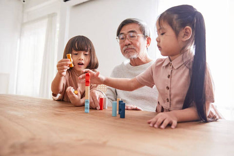 Log Puzzle Wooden Game PlanToys