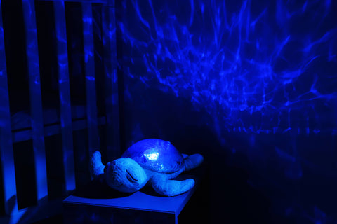 Cloud B Tranquil Turtle Rechargeable Proj Aqua
