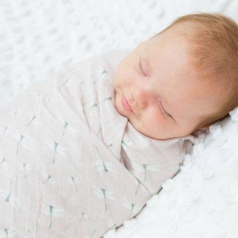 Lulujo - Cotton Swaddle - Vintage Floral / Dragonfly - 2 Pack