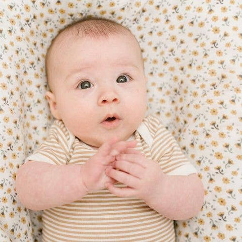 Lulujo - Cotton Swaddle - Vintage Floral / Dragonfly - 2 Pack