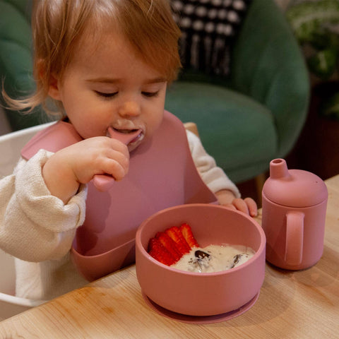 Baby Silicone Suction Bowl with Lid - By Tiny Dining