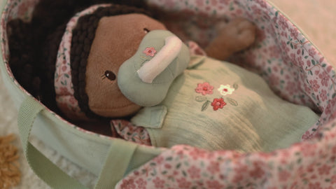 Little Dutch Baby doll in basket Evi