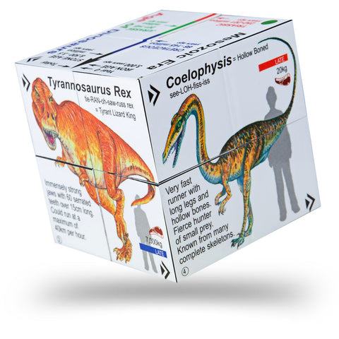 Dinosaur Cube Book